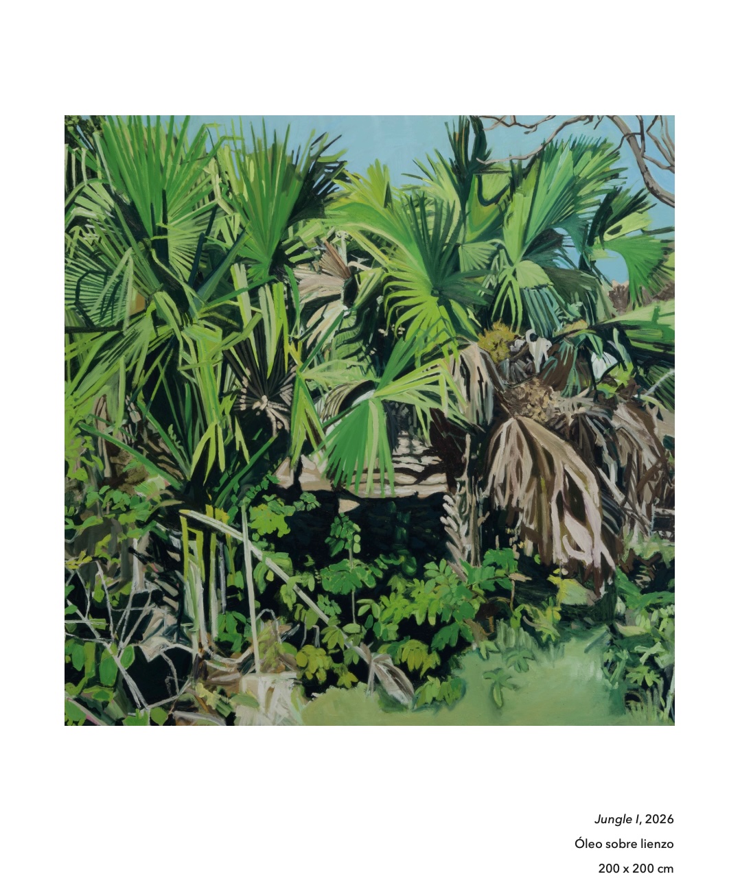 Jungle 10 